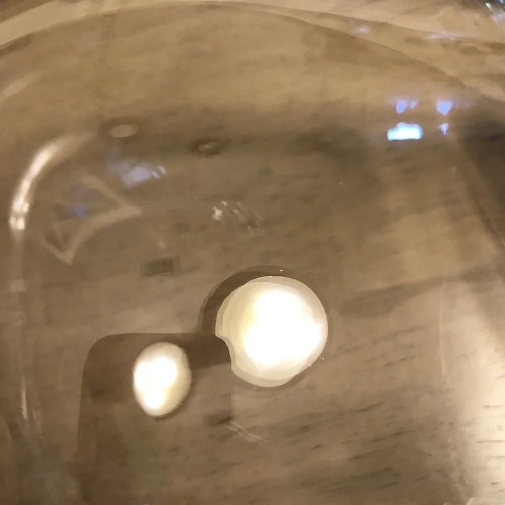 Elegant Clear Glass Flower Vase